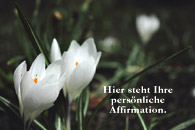 Affirmationen Krokusse weiss